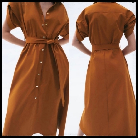 Zara Brown Midi Dress - Picture 2 of 14